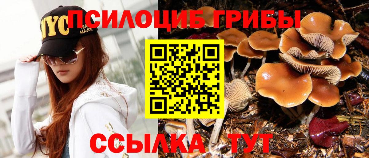 Псилоцибиновые грибы прущие грибы Тихорецк